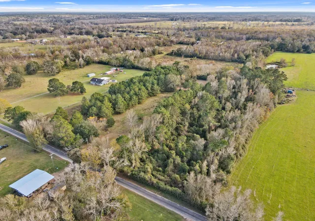 Photo 2 of Land for sale at 509 County Rd 2096, Liberty, TX 77575 | MLS# 79609164 | Listing updated on 2026-02-12