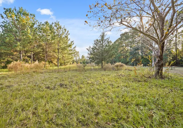 Photo 4 of Land for sale at 509 County Rd 2096, Liberty, TX 77575 | MLS# 79609164 | Listing updated on 2026-02-12