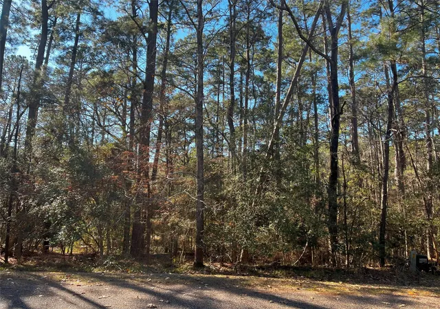 1st image of 61 Sunny Hill Dr, Coldspring, TX 77331 | MLS# 15537896
