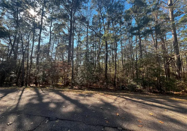 2nd image of 61 Sunny Hill Dr, Coldspring, TX 77331 | MLS# 15537896