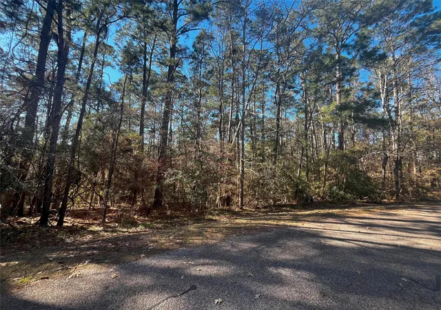Photo 3 of Land for sale at 61 Sunny Hl Dr, Coldspring, TX 77331 | MLS# 15537896 | Listing updated on 2026-08-03