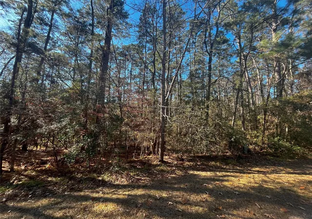 Photo 3 of Land for sale at 61 Sunny Hl Dr, Coldspring, TX 77331 | MLS# 15537896 | Listing updated on 2026-08-03