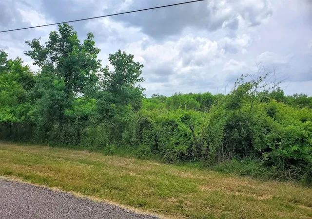 Photo 4 of Land for sale at Appr 77 Ac Laigle Rd Cr 85, Manvel, TX 77578 | MLS# 35693565 | Listing updated on 2026-06-19
