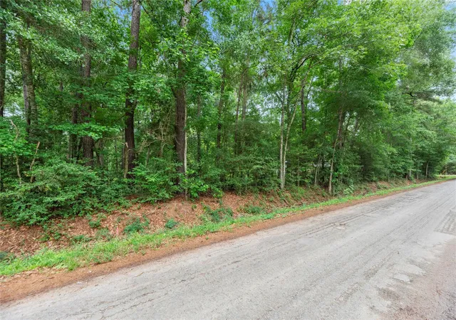 15th image of 8 County Road 3564, New Caney, TX 77357 | MLS# 50403982