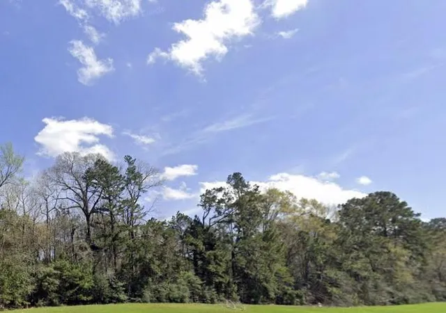 Homes for sale in New Waverly, TX | 191 Hollow Hill Rd, New Waverly, TX 77358 | MLS# 13470098