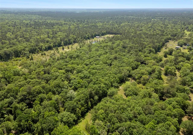 Photo 3 of Land for sale at 0 Maxine Ln, Cleveland, TX 77328 | MLS# 44668524 | Listing updated on 2026-08-21