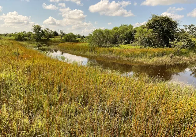 2nd image of Tbd Drymalla Rd, Cat Spring, TX 78933 | MLS# 14180161