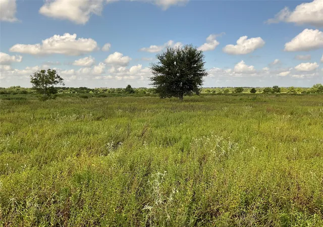 4th image of Tbd Drymalla Rd, Cat Spring, TX 78933 | MLS# 14180161