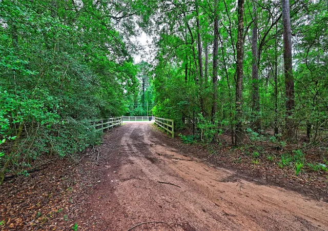 Photo 4 of Land for sale at 6410 Ranch Park Dr, Magnolia, TX 77354 | MLS# 30610024 | Listing updated on 2026-09-13