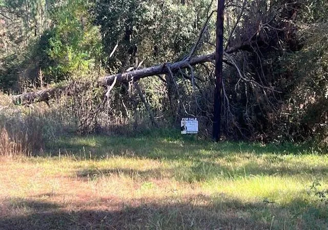 Photo 2 of Land for sale at Tbd Clark Rd, Plantersville, TX 77363 | MLS# 51228216 | Listing updated on 2026-05-08