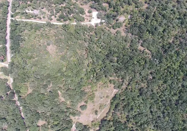 Photo 1 of Land for sale at 00 Brazos River Rd, Damon, TX 77430 | MLS# 82628729 | Listing updated on 2026-09-18