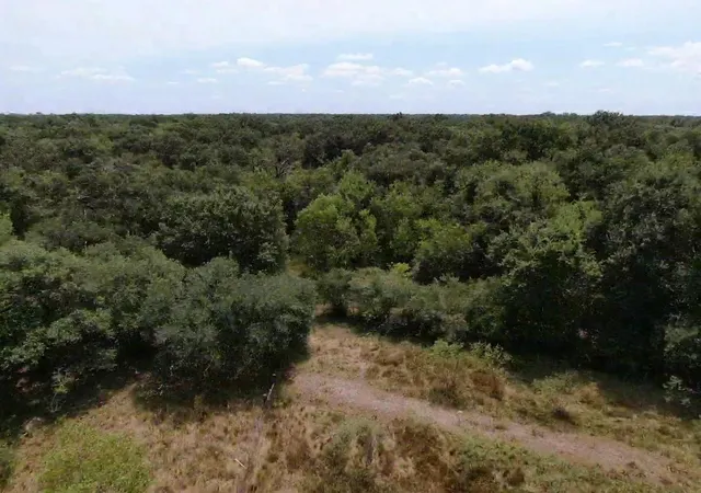 Photo 2 of Land for sale at 00 Brazos River Rd, Damon, TX 77430 | MLS# 82628729 | Listing updated on 2026-09-18