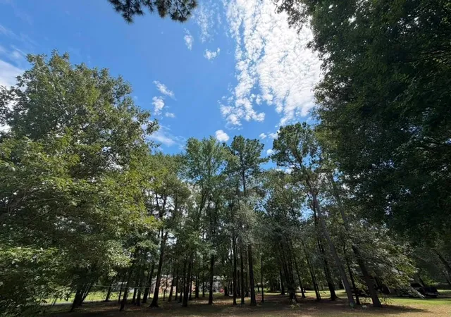 Photo 2 of Single family home for sale at 9806 State Hwy 156, Coldspring, TX 77331 | MLS# 58225796 | Listing updated on 2026-08-20