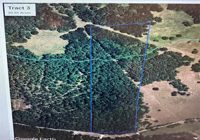 2nd image of 00 Hardy Bottom Road, Huntsville, TX 77340 | MLS# 47969983