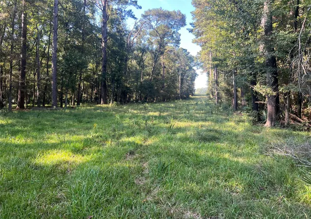 Photo 2 of Land for sale at 00 Hardy Btm Rd, Huntsville, TX 77340 | MLS# 47969983 | Listing updated on 2026-05-04