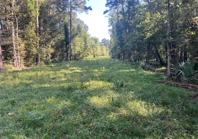 Photo 3 of Land for sale at 00 Hardy Btm Rd, Huntsville, TX 77340 | MLS# 47969983 | Listing updated on 2026-05-04