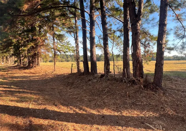 Photo 4 of Land for sale at 00 Hardy Btm Rd, Huntsville, TX 77340 | MLS# 47969983 | Listing updated on 2026-05-04