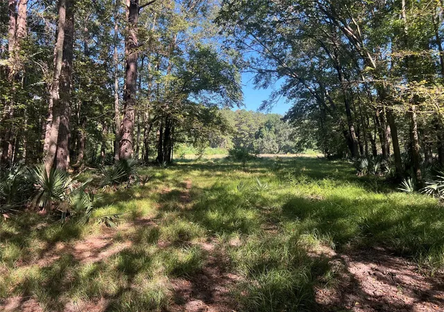 8th image of 00 Hardy Bottom Road, Huntsville, TX 77340 | MLS# 47969983