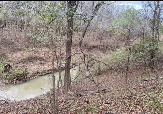 4th image of Lot 3 Cr 112, Centerville, TX 75833 | MLS# 23726031