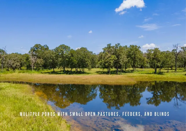 3rd image of Tbd County Road 405 - 839 Acres, Lexington, TX 78947 | MLS# 36156801