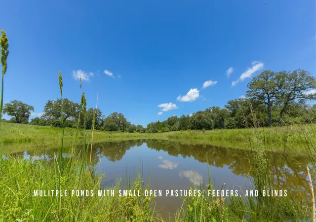 4th image of Tbd County Road 405 - 839 Acres, Lexington, TX 78947 | MLS# 36156801