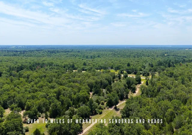 5th image of Tbd County Road 405 - 839 Acres, Lexington, TX 78947 | MLS# 36156801