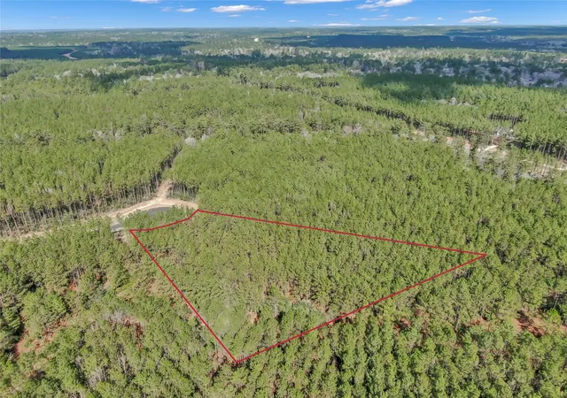 Photo 3 of Land for sale at 16207 Golden Wood Ct, Willis, TX 77378 | MLS# 42591642 | Listing updated on 2026-05-21