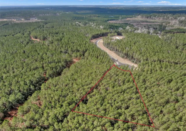 Photo 4 of Land for sale at 16207 Golden Wood Ct, Willis, TX 77378 | MLS# 42591642 | Listing updated on 2026-05-21