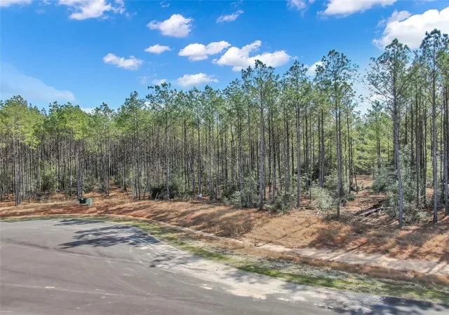 Photo 9 of Land for sale at 16207 Golden Wood Ct, Willis, TX 77378 | MLS# 42591642 | Listing updated on 2026-05-21