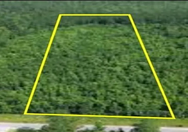 Photo 2 of Land for sale at Tbd Dogwood Ave, Manvel, TX 77578 | MLS# 8873396 | Listing updated on 2026-05-19