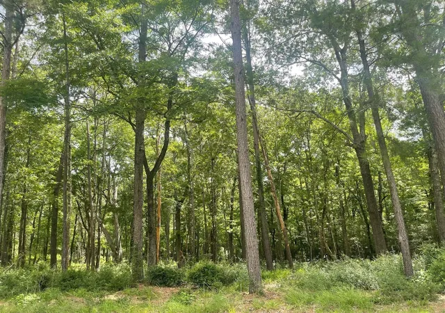 Photo 10 of Land for sale at Tbd Venice Way, Huntsville, TX 77320 | MLS# 60963344 | Listing updated on 2025-11-11
