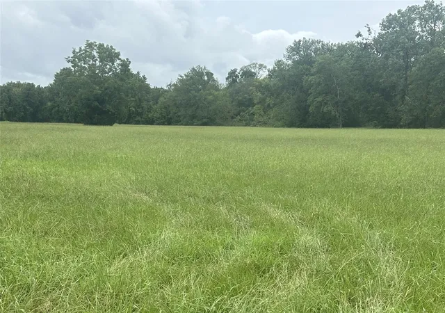 Photo 3 of Land for sale at 3935 Spring Branch Rd, Montgomery, TX 77316 | MLS# 27010157 | Listing updated on 2026-04-10