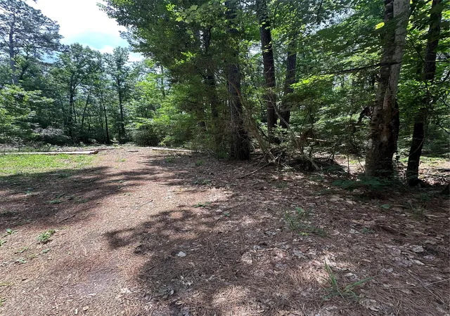 Land for sale at Lot 715 & Lot 716 N Royal Ests Dr, Conroe, TX 77303 | MLS# 86296913