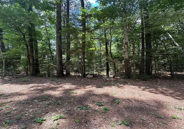 Photo 2 of Land for sale at Lot 715 & Lot 716 N Royal Ests Dr, Conroe, TX 77303 | MLS# 86296913 | Listing updated on 2026-06-24
