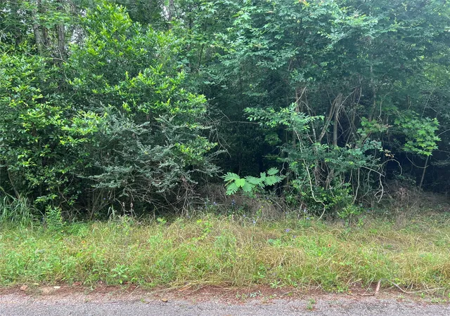 Photo 4 of Land for sale at 000 Rollingwood Loop, Conroe, TX 77303 | MLS# 71853264 | Listing updated on 2026-05-05