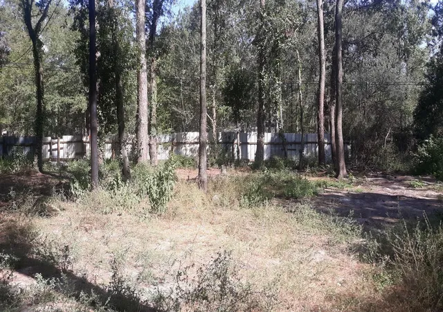 14th image of 21060 Patricia Ln, New Caney, TX 77357 | MLS# 79934838
