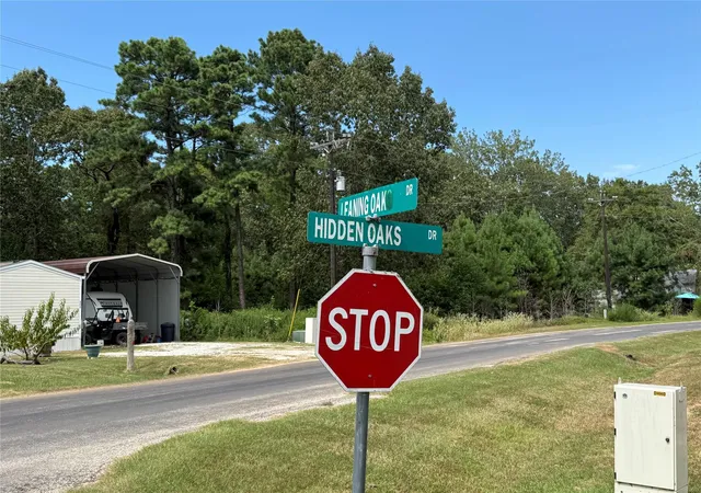 2nd image of 10 Leaning Oak Dr, Point Blank, TX 77364 | MLS# 52778523