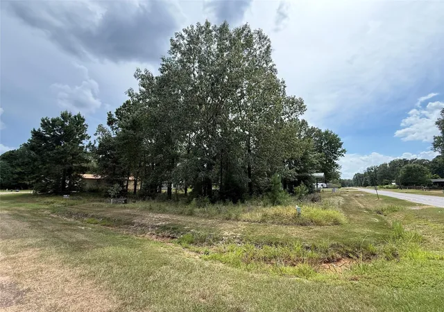 4th image of 10 Leaning Oak Dr, Point Blank, TX 77364 | MLS# 52778523