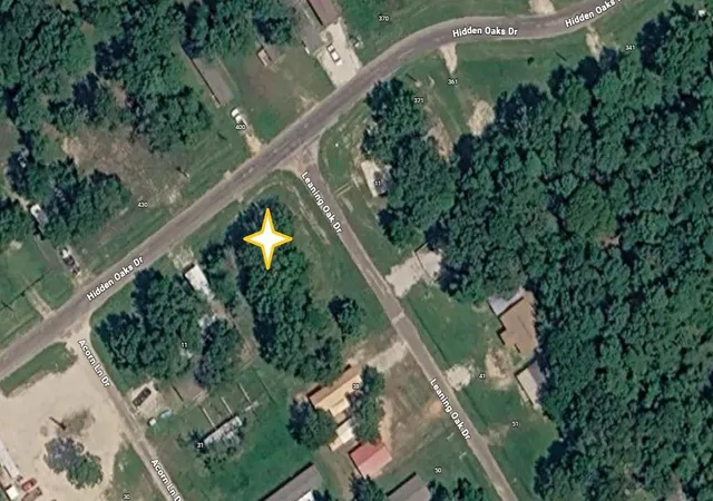 5th image of 10 Leaning Oak Dr, Point Blank, TX 77364 | MLS# 52778523