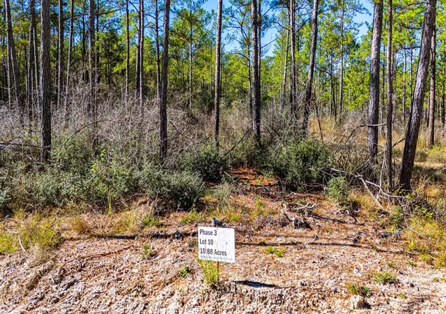 5th image of 035 Magnolia Ranch Road Road, Onalaska, TX 77360 | MLS# 44814092