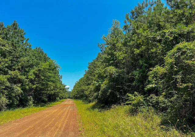 2nd image of 8 Bayou Road, Hemphill, TX 75948 | MLS# 64053500