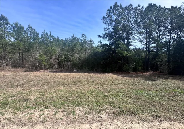 Photo 2 of Land for sale at 15576 Forest Grv Dr, Willis, TX 77378 | MLS# 97240665 | Listing updated on 2026-05-29