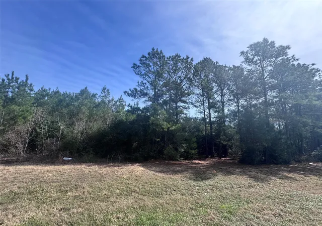 Photo 3 of Land for sale at 15576 Forest Grv Dr, Willis, TX 77378 | MLS# 97240665 | Listing updated on 2026-05-29