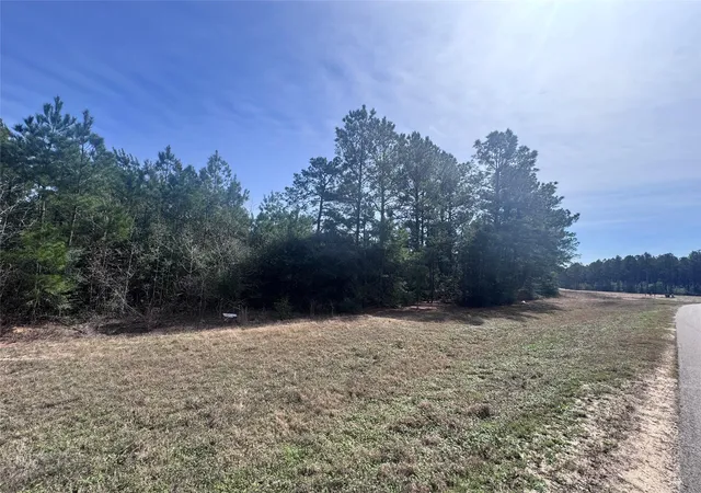 Photo 4 of Land for sale at 15576 Forest Grv Dr, Willis, TX 77378 | MLS# 97240665 | Listing updated on 2026-05-29