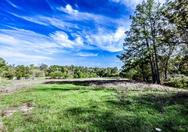 50th image of 290 Townley Ranch Dr, Huntsville, TX 77320 | MLS# 20958224