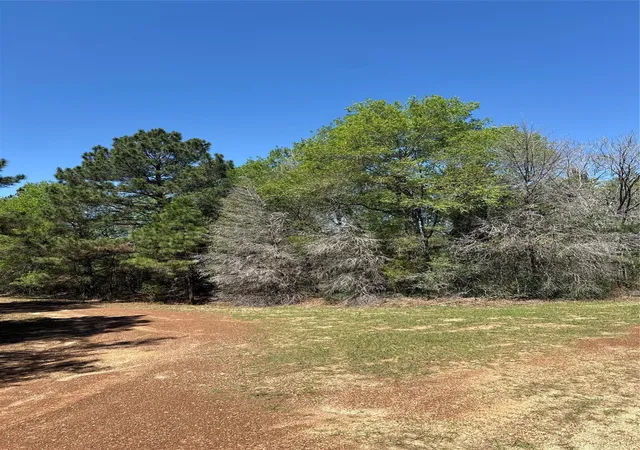 Homes for sale in Hempstead, TX | 26842 Eagle Dr, Hempstead, TX 77445 | MLS# 19713865