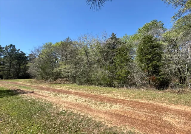 Homes for sale in Hempstead, TX | 26842 Eagle Dr, Hempstead, TX 77445 | MLS# 19713865