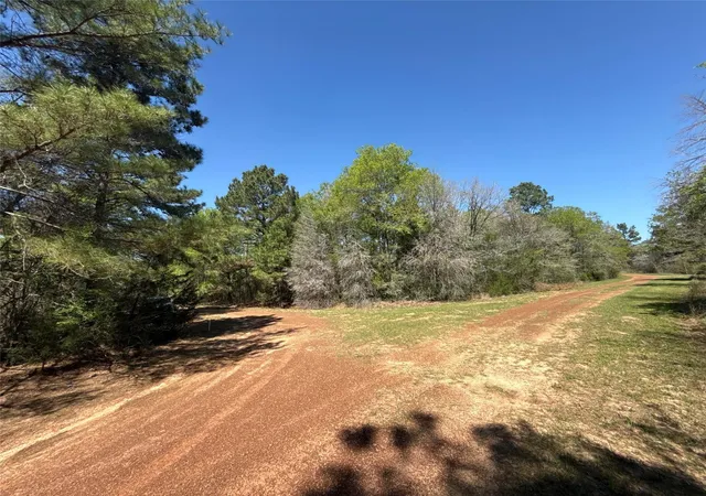 Homes for sale in Hempstead, TX | 26842 Eagle Dr, Hempstead, TX 77445 | MLS# 19713865