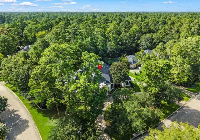 50th image of 3 N Benton Woods Cir, Spring, TX 77382 | MLS# 68386893