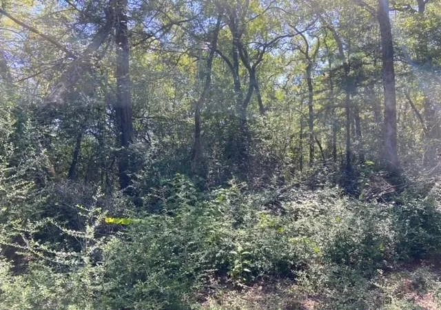 5th image of Unk Sawmill Rd, Franklin, TX 77856 | MLS# 37186536